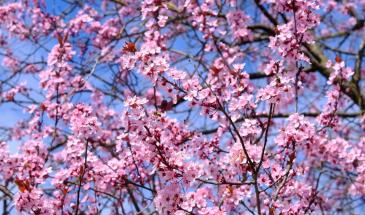 test 2